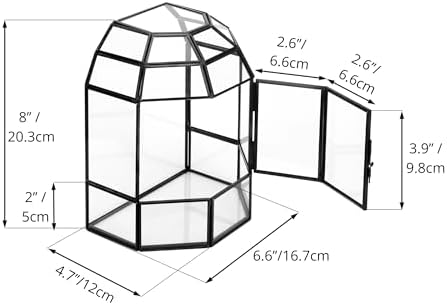 ncyp half dome geometric glass terrarium with door showing dimensions