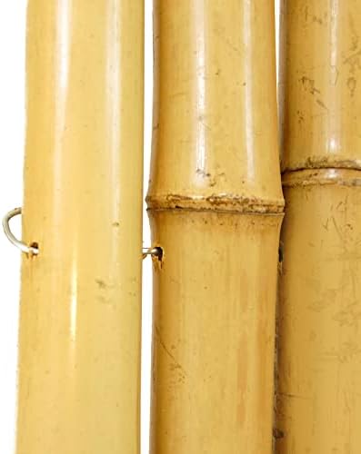 forever bamboo natural bamboo fencing decorative rolled fence on a desk or shelf