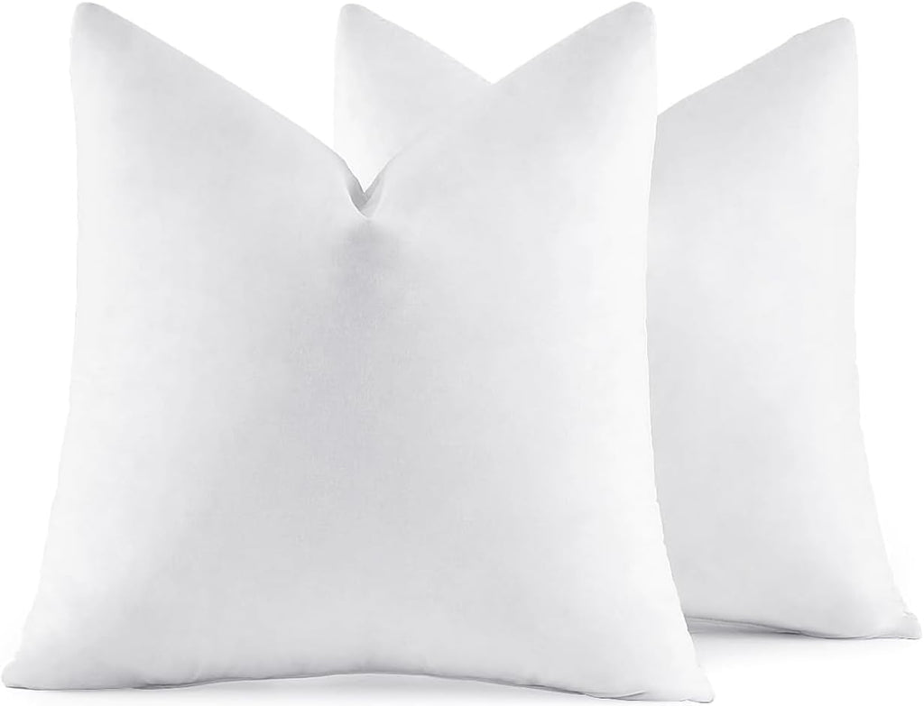 miulee 22x22 pillow inserts, set of 2 feather, main product view
