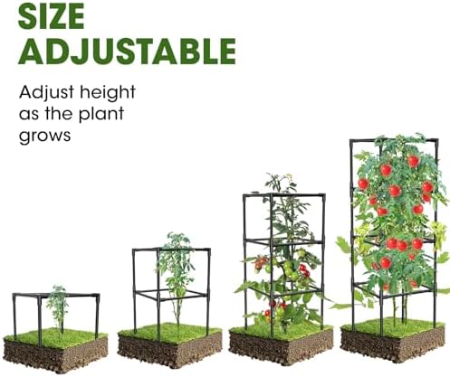 tomato cages, square tomato plant stakes support cages, close-up detail