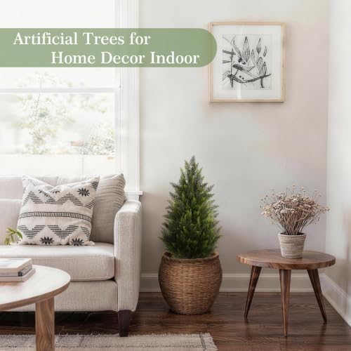 vitalismo 3ft artificial cedar trees set of 2, package contents