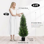 vitalismo 4ft artificial cedar trees set of 2 shown in use