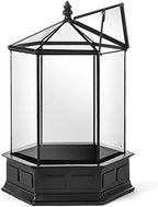 h potter six-sided glass terrarium wardian case succulent, front angle view
