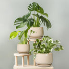 g epgardening ceramic planter, 7 inch plant pots on a desk or shelf