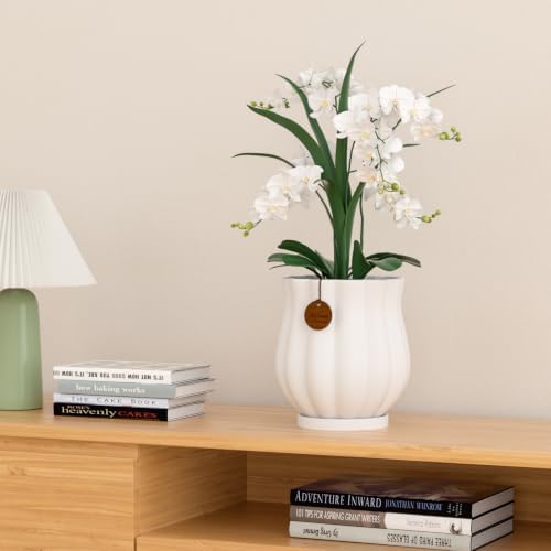 7.1" matte white ceramic plant pot with saucer on a desk or shelf
