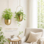 acelist gold metal hanging planter set of 2 shown in use