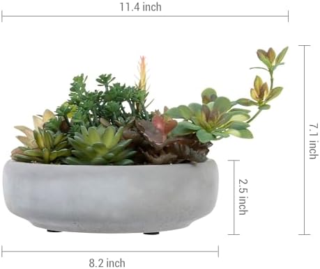 mygift artificial succulent arrangement in round gray cement showing dimensions