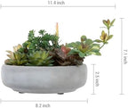 mygift artificial succulent arrangement in round gray cement showing dimensions