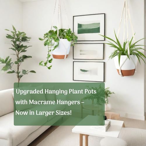 self watering hanging planters for indoor plants large, front angle view