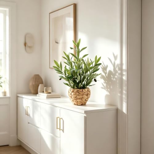 alphaacc fake potted plant small olive water hyacinth, close-up detail