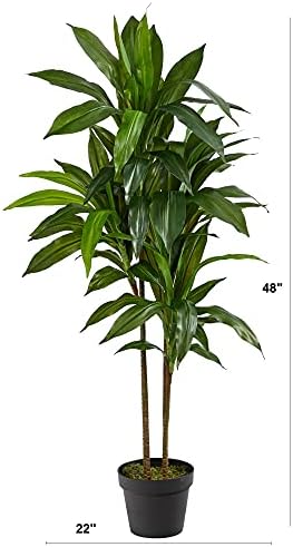 nearly natural 48 in artificial dracaena real touch, close-up detail