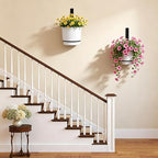 wall mounted hanging planter vase for indoor outdoor on a desk or shelf
