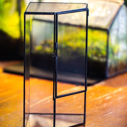 ncyp glass terrarium with front opening door for on a desk or shelf