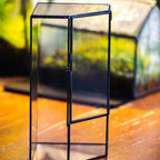 ncyp glass terrarium with front opening door for on a desk or shelf
