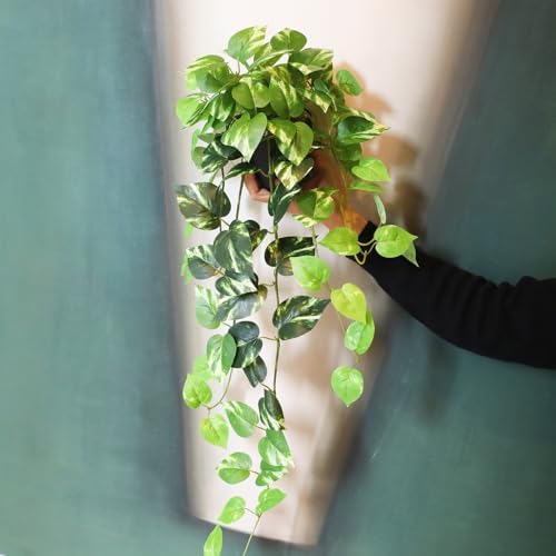 fake pothos hanging plants - 33" set of on a desk or shelf