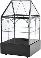 highfree glass terrarium with metal tray, glass greenhouse on a desk or shelf