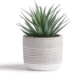 kurrajong farmhouse artificial plant | 8" fake plant, main product view
