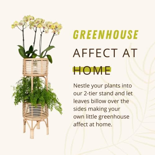 kouboo rattan indoor two-tier plant stand, natural planter, package contents