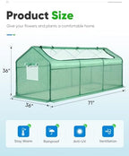 quictent mini greenhouse for indoor outdoor, portable quick-setup on a desk or shelf