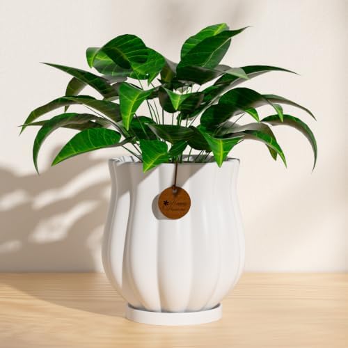 7.1" matte white ceramic plant pot with saucer, main product view