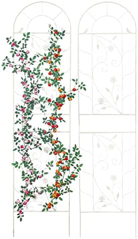 sungmor metal trellises for climbing plants, overall 20 shown in use