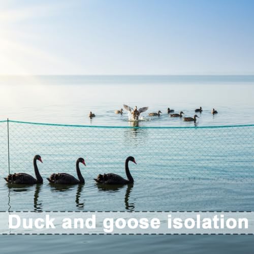 garden netting, 50' x 50' heavy duty bird, close-up detail