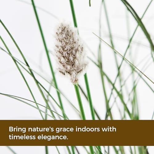 3ft / 4ft extra lush artificial plant (2pcs) showing dimensions
