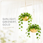 acelist gold hanging planter for indoor plants, set showing dimensions