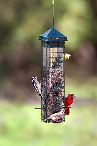 squirrel solution200 squirrel-proof bird feeder w/6 feeding ports, front angle view
