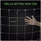 plant trellis netting 5 * 30ft 3.5 mesh, close-up detail