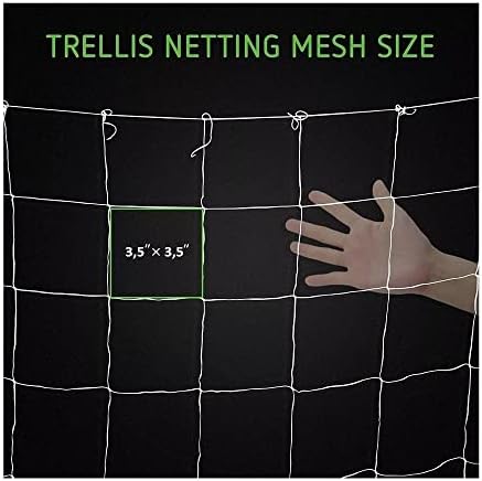 plant trellis netting 5 * 30ft 3.5 mesh, close-up detail