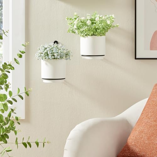 wall mounted hanging planter vase for indoor and, side view