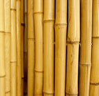 forever bamboo natural bamboo fencing decorative rolled fence, package contents