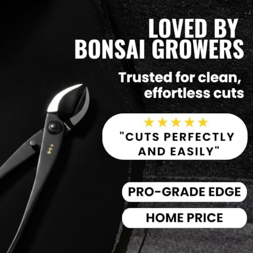senkichi 8.3" japanese bonsai concave cutter – professional on a desk or shelf