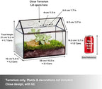 ncyp glass terrarium with lid and air holes, close-up detail