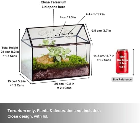 ncyp glass terrarium with lid and air holes, close-up detail