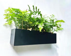 lalagreen wall planter for outdoor plants (24in, 4 shown in use
