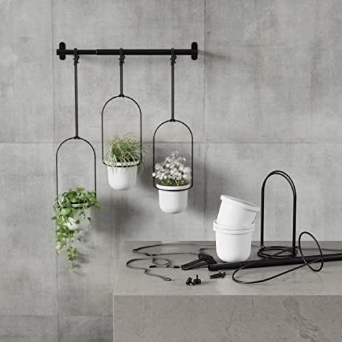 umbra triflora hanging planter, indoor herb garden, set, front angle view