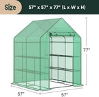 lemy walk-in greenhouse for outdoors,2-tier 8 shelves heavy-duty, close-up detail