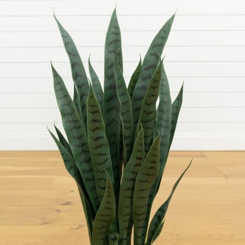 nearly natural 35in artificial snake plant with black showing dimensions