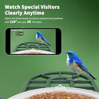 harymor smart bird feeder with camera - ai, package contents