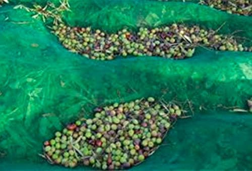 ez4garden fruits harvest collecting netting walnut olive chestnut, front angle view