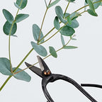 bamboomn 10pc bonsai set, shears, concave cutter, knob, front angle view