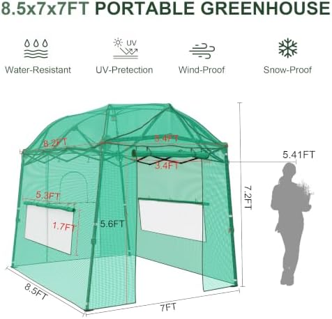 8.5 x 7 ft walk‑in pop‑up greenhouse for shown in use