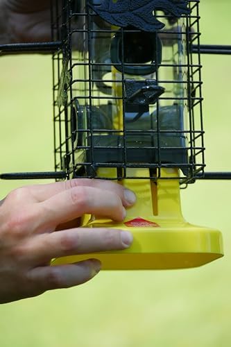 squirrel solution200 squirrel-proof bird feeder w/6 feeding ports, side view