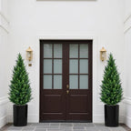 4ft artificial cedar topiary trees (2-pack) - uv, front angle view