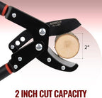 agricut telescopic garden loppers anvil - extendable tree shown in use