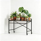 zhongma window height sturdy metal plant stand with showing dimensions