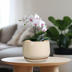 g epgardening ceramic planter, 7 inch plant pots shown in use