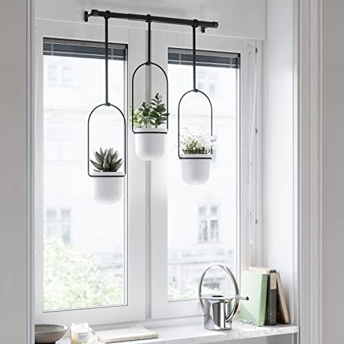 umbra triflora hanging planter, indoor herb garden, set, view 11